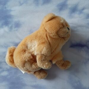Zodiac Dog Beanie Baby